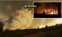 Taşköprü'de Bin 250 Futbol Sahası Büyüklüğünde Orman Küle Döndü: 5 Yılda Orman Yeniden Hayat Buluyor