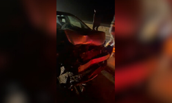 Taşköprü'de feci kaza: Araç domuzlara çarptı!