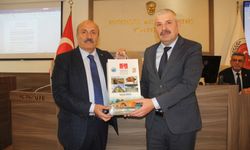 Taşköprü’de yeni Film Festivali geliyor: Pompeiopolis tarihi gün yüzüne çıkıyor