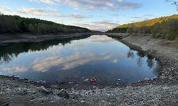 Taşköprü'nün Gözdesi Şimdi Kuraklıkla Boğuşuyor: Küçüksu Göleti Tehlikede
