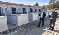 Tosya’da Sokak Hayvanları İçin Modern Rehabilitasyon Merkezi Yükseliyor