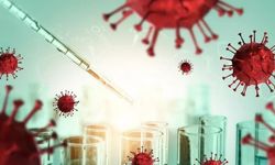 Uzun Covid’in Sırrı Kanınızda Saklı Olabilir