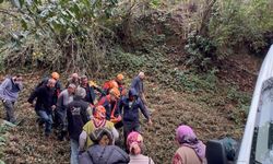 Ağaç kesiminde feci kaza: Kestiği ağaç çarptı, uçuruma düştü