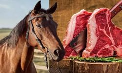 Atları kesip millete yedirmişler: 2 kişi gözaltına alındı