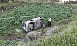 Otomobil Tarlaya Devrildi: Sürücü Mucizevi Şekilde Kurtuldu