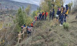 Kayıp Olarak Aranan Yaşlı Kadın Ormanda Ölü Bulundu: Düştüğü Çalılık Mezarı Oldu!