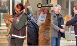 Kastamonu'da Mutlu Son: Bartın’da Kayboldu Kastamonu’da Tesadüfen Bulundu