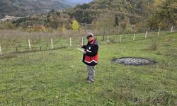 Çatalzeytin’de tarım kayıtları mercek altında