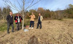 Çatalzeytin’de çiftçilere budama ve fide eğitimi verildi