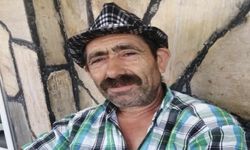 Devrilen ağaç can aldı: Komşu tutuklandı