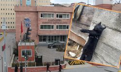 Kastamonu’da kan donduran olay: Emniyet harekete geçti!