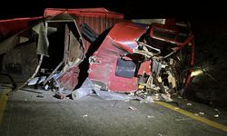 Feci kaza: Yem yüklü kamyon devrildi, sürücü sıkıştı