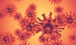 Gençlerde sessizce çoğalıyor: Nadir kanser türü alarm veriyor