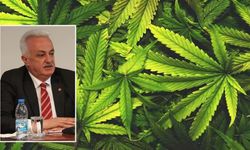 Hayati Hamzaoğlu’ndan Taşköprülü kendir üreticisine destek: 'Kendir ekimi başlamadan ölmesin'