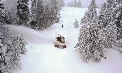 Kastamonu'da karla mücadele: Ekipler yeni yıla köy yollarını açarak giriyor