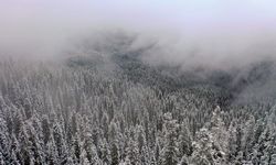 Kastamonu'da Kış Sürprizi: Ilgaz Dağı Havadan Görüntülendi