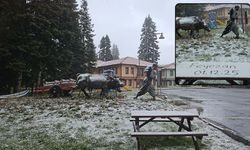 Ilgaz’da Kış Perdesi Açıldı: Dağ Zirvesi Beyaza Büründü