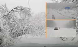 Kastamonu’dan kar manzarası: İnebolu beyaza büründü!