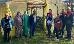 İnebolu’da seralara teknik inceleme