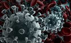 Kanserden ölüm oranı en yüksek iller açıklandı: Liste şaşırttı