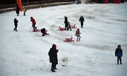 Kar Yağdı, İlgi Arttı: Ilgaz Dağı’nda Kızak Keyfi Başladı