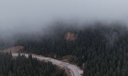 Ilgaz Dağı’nda Sis Manzarası Büyüledi: Doğa Tutkunlarından Yoğun İlgi