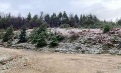 Kastamonu’da Mevsimin İlk Karı Yağdı: Sürücülere Gizli Buzlanma Uyarısı