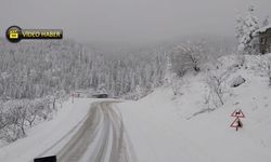 Kastamonu’nun Yüksek Kesimlerinde Kar Etkisini Artırdı