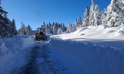 Kastamonu'da kar engeli: Kapalı köy yolu sayısı 377'ye düştü!