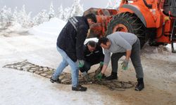 Kastamonu'da kar etkisini gösterdi: Ekiplerin köylerdeki karla mücadelesi başladı