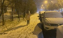 Kastamonu'da kar yağışı etkili oluyor! 202 köy yolu kapandı: Valilikten uyarı geldi!