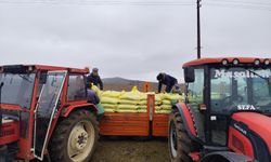 Kastamonu'da sonbahar gübreleme çalışması yapıldı