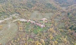 Kastamonu'da sonbahara bürünen ormanlar mest ediyor