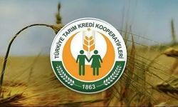 Kastamonu'da Tarım Kredi Kooperatifleri kapatılıyor