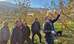 Kastamonu’da üreticilere budama eğitimi