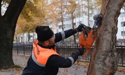 Kastamonu'da yoğun mesai: Belediye ekipleri çalışmaları hızlandırdı