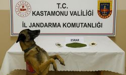 Kastamonu’da zehir tacirlerine darbe: 1 kişi tutuklandı!