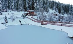 Kastamonu'nun ilçesindeki orman parkı beyaza büründü: Kartpostallık görüntüler oluştu!