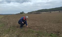 Kastamonu'nun köyleri yerinde incelendi