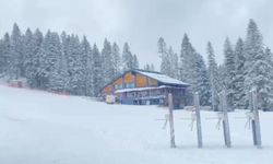 Kastamonu'nun yüksek kesimlerinde kar yağışı etkili oluyor: 20 santimetreye ulaştı