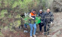 Esrarengiz Ölüm: Genç Adamdan Acı Haber