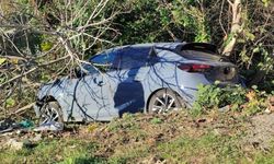 Kontrolden çıkan araç ağaçlığa girdi: Sürücü yaralandı