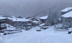 Meteoroloji uyarmıştı: Kastamonu’da kar yağışı etkili oldu
