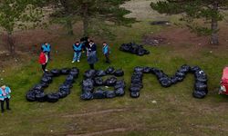 Kastamonu–Ankara Karayolunda Ormanlık Alanlarda Temizlik Seferberliği