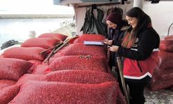 İnebolu’da Beyaz Kum Midyesi Avcılığına Sıkı Denetim