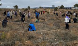 Kastamonu’da Öğrenciler Geleceğe Nefes Oldu: Aksinir Köyü’nde Fidan Dikim Etkinliği