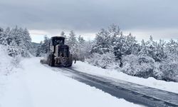 Kastamonu'da orman ekipleri; Yazın köz üstünde, kışın buz üstünde..!