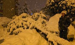 Kar Yağışı Tehlike Saçtı: Çam Ağacı Otomobillerin Üzerine Devrildi