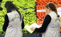 Pestisit ve hijyen kontrolleri artıyor: Bakanlık 81 ilde sahada