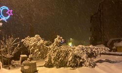 Pınarbaşı’nda Büyük Tehlike: Karla Kaplı Ağaç Devrildi